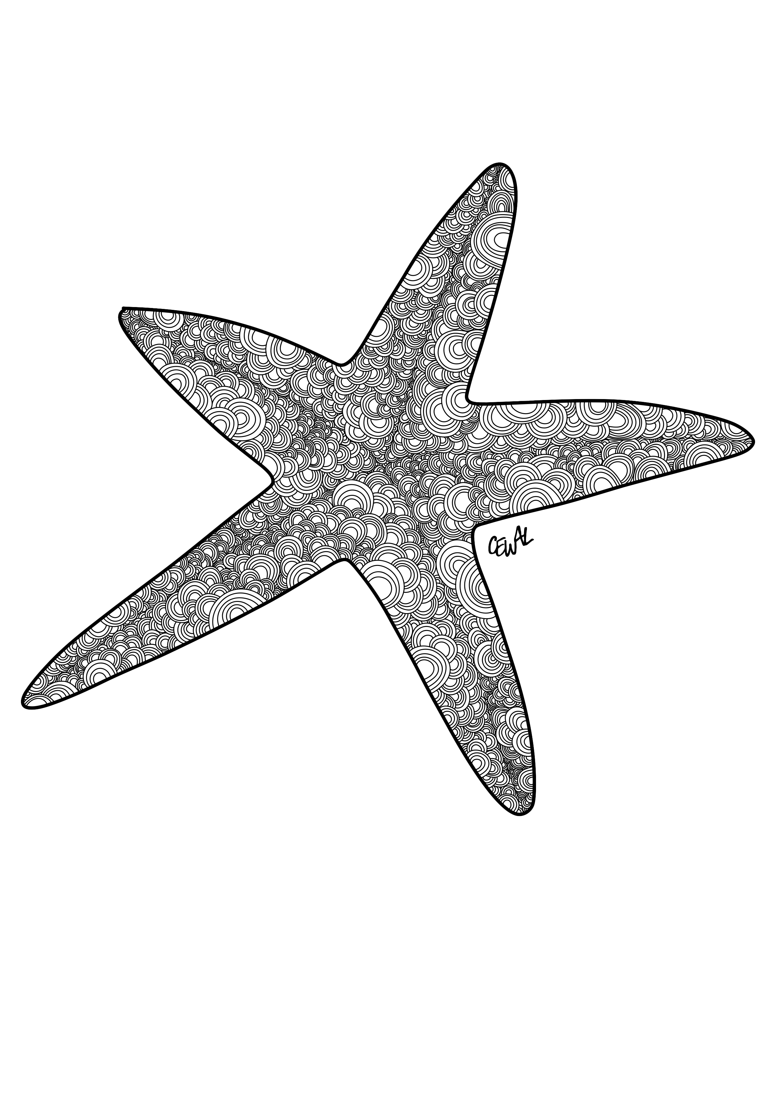 starfish no background.png