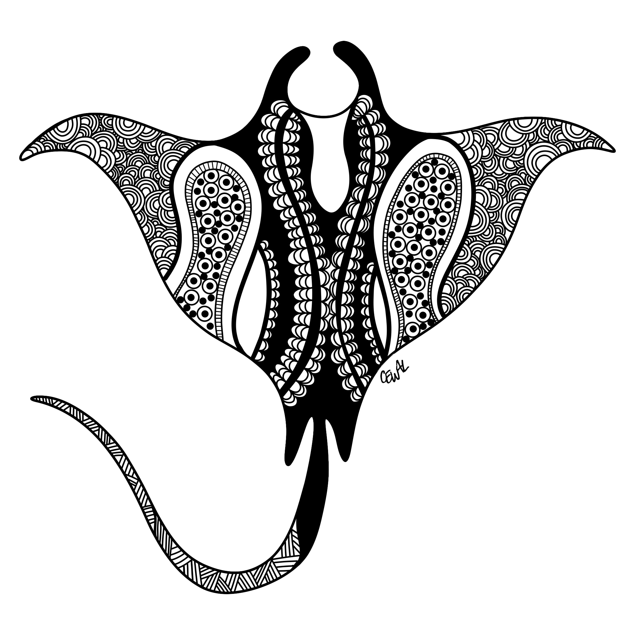 Stingray no background.png