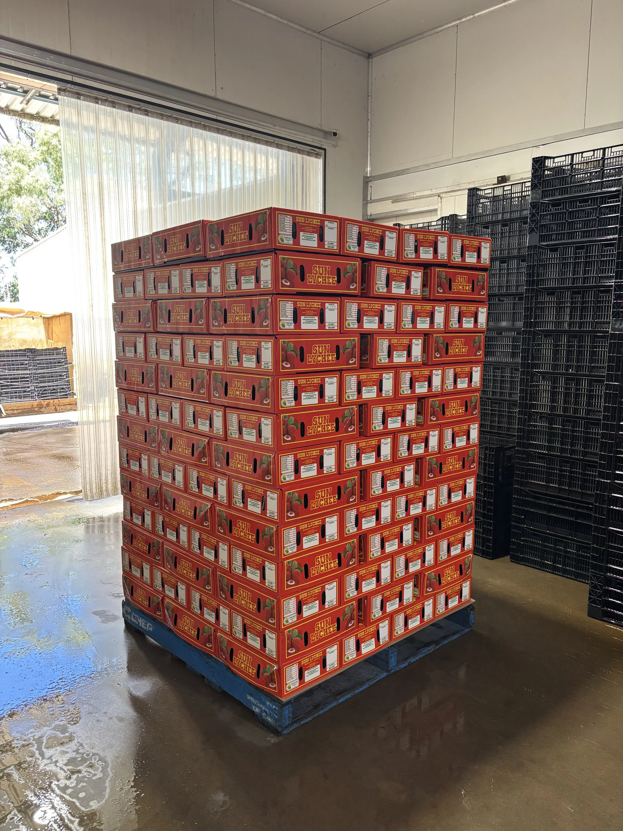 Stack of red boxes labeled 'Sun Lychee' on a blue pallet inside a warehouse, with black crates stacked nearby.