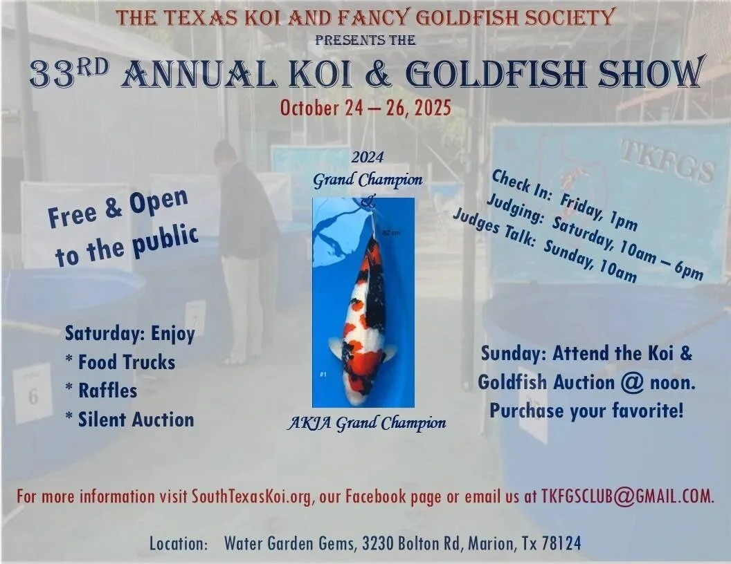 2025 33rd Annual Texas Koi & Fancy Goldfish Show