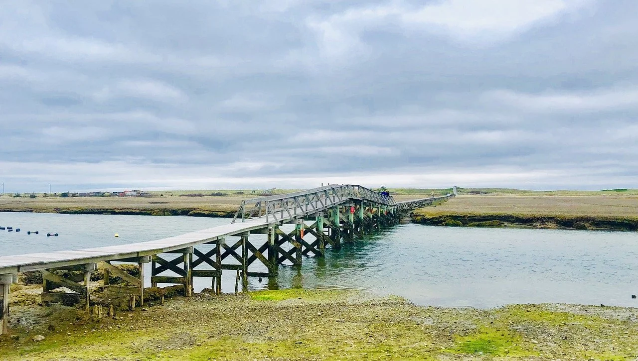 An image of the Sandwich boardwalk in Sandwich, MA