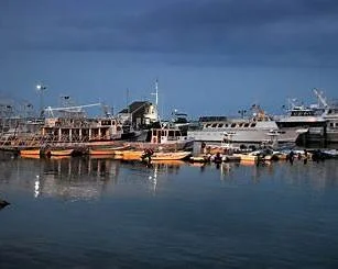 An image of a bunch of boats lined up in the Plymouth harbor.
