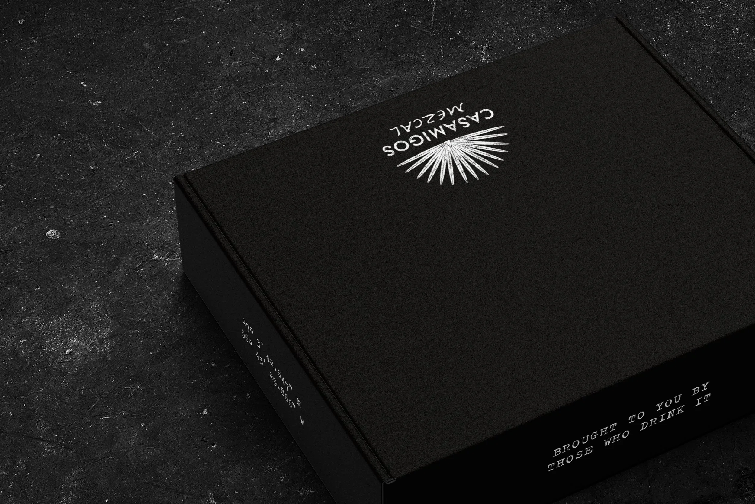 1117_INFLUENCER BOX_MOCKUP_BACK.jpg