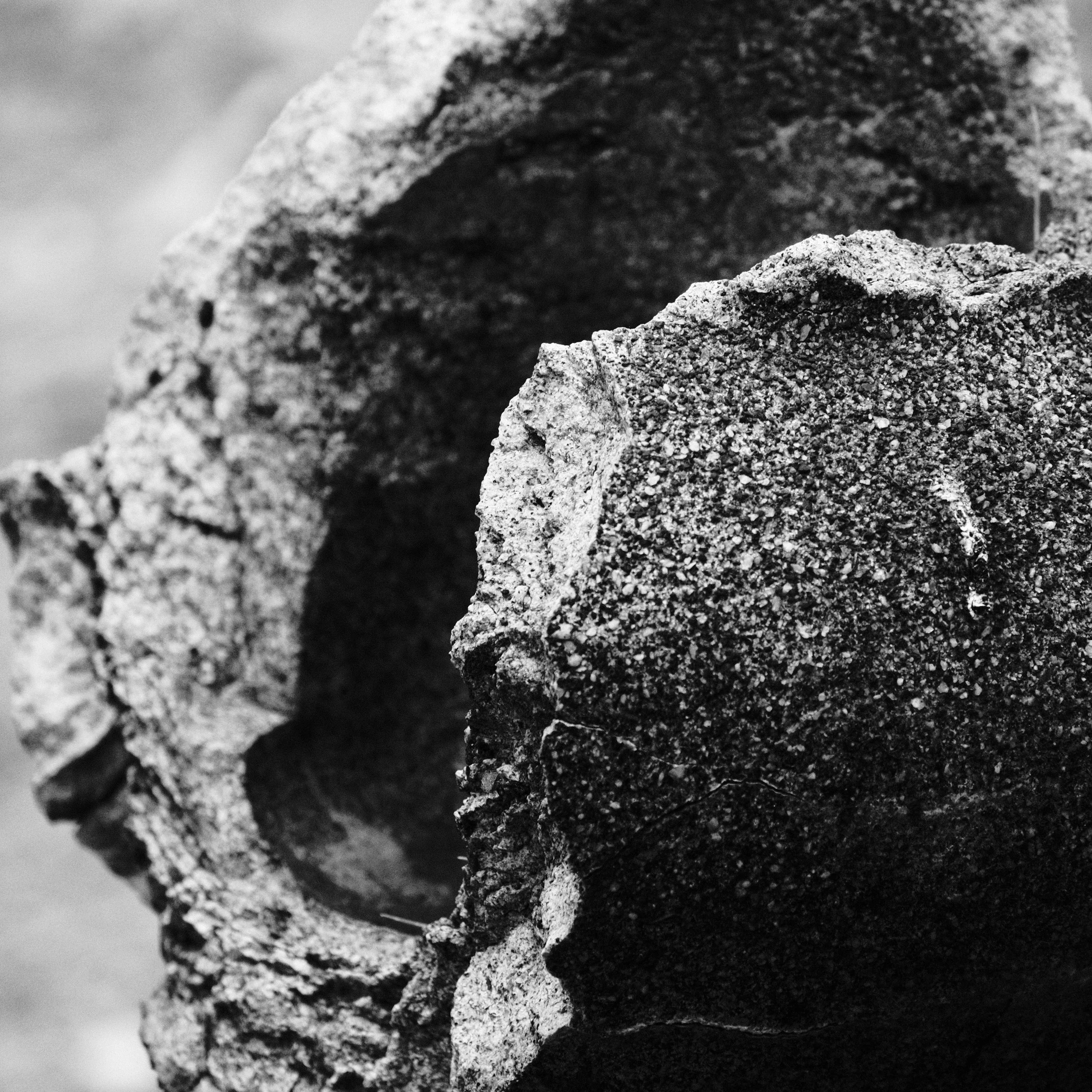 blackandwhite_5.JPG