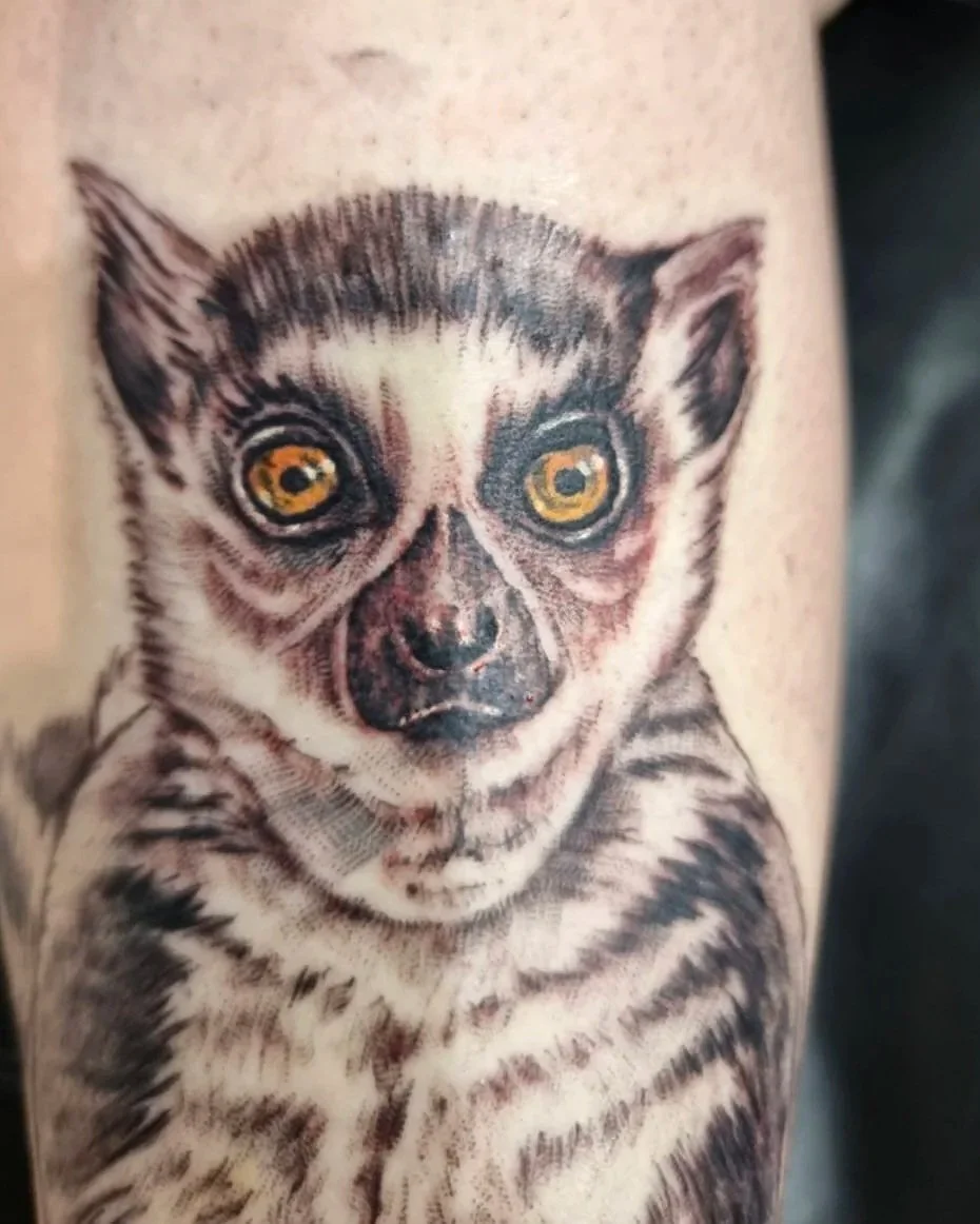 Lemur life