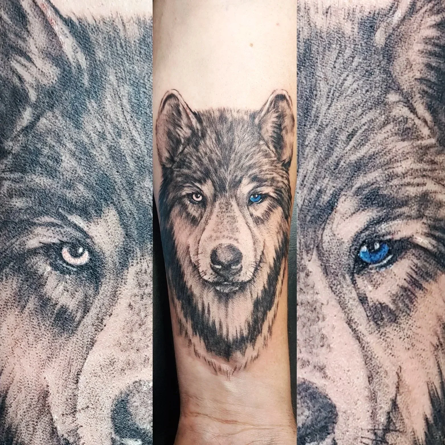 Wolf eyes