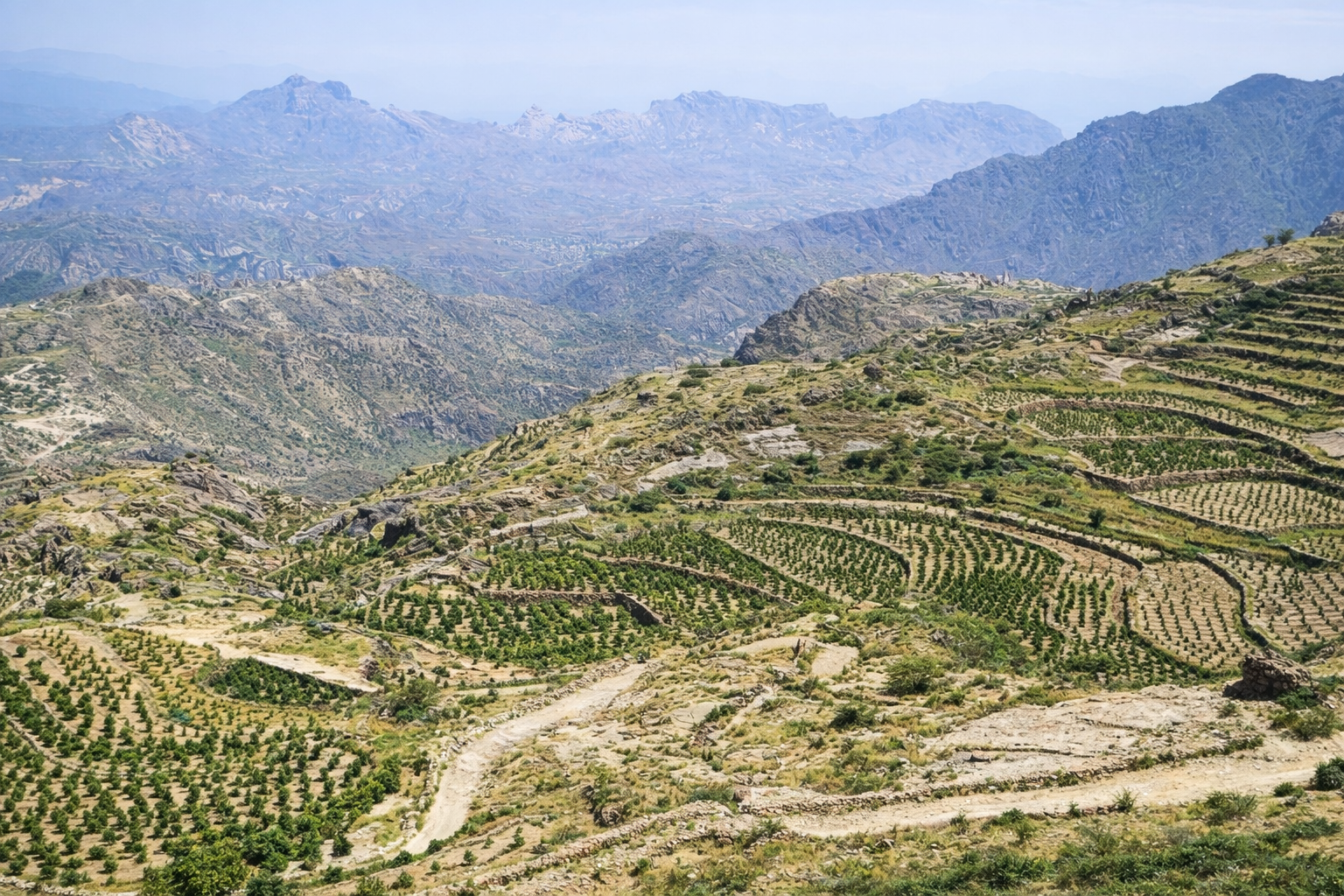 Yemeni Highland Terraces