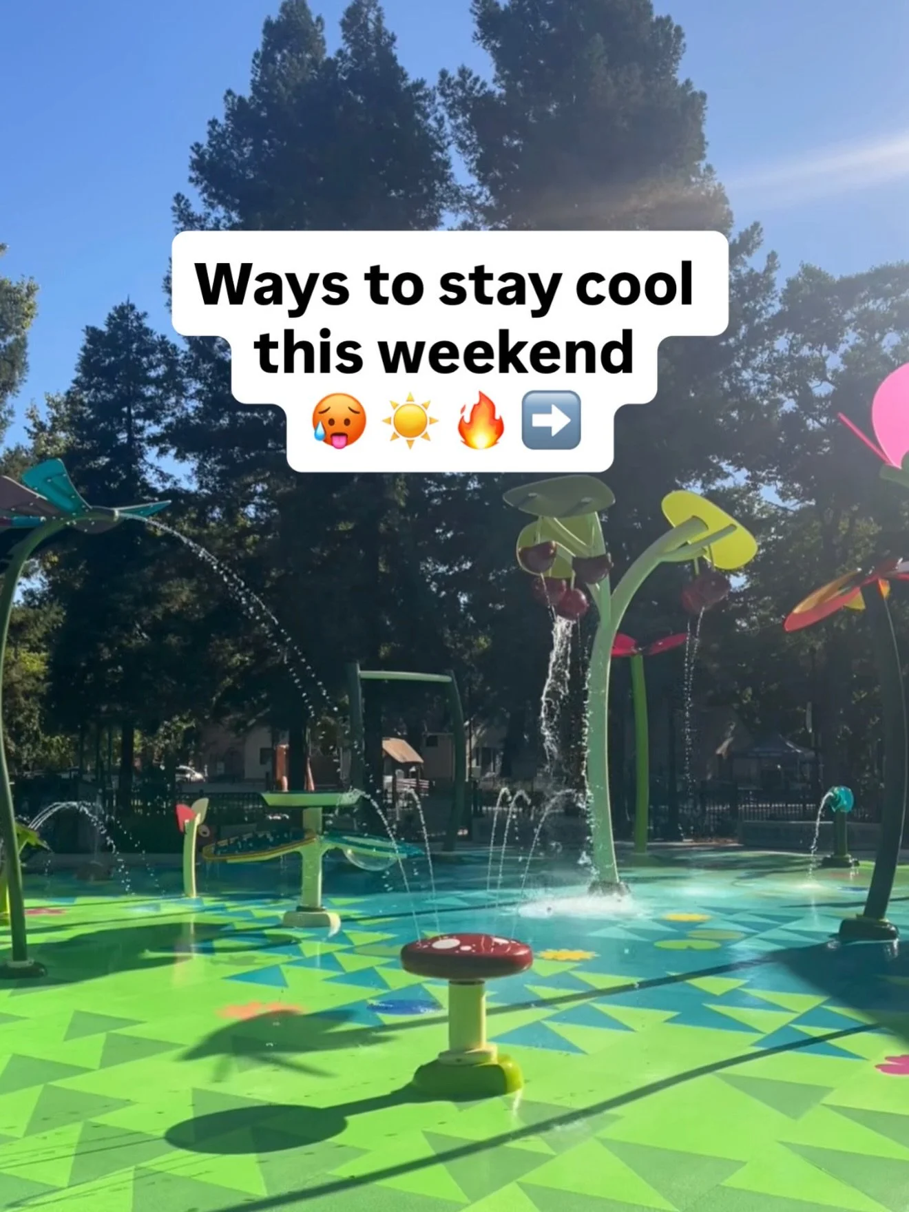 Stumped on what to do this weekend with the kids? Here are some ideas to help. 

#sactown #norcalwithkids #heatwave #october #kidfriendly