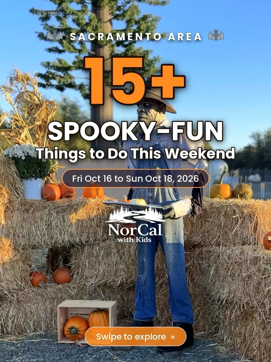 Costumes on, candy bags ready. Here&rsquo;s where to go this weekend 🎃

Trunk or treats, a witchy paddle on Lake Natoma, a Halloween skate party, fall festivals, a pumpkin patch train ride, and even a city-wide worm hunt (yes, really). Lots of these