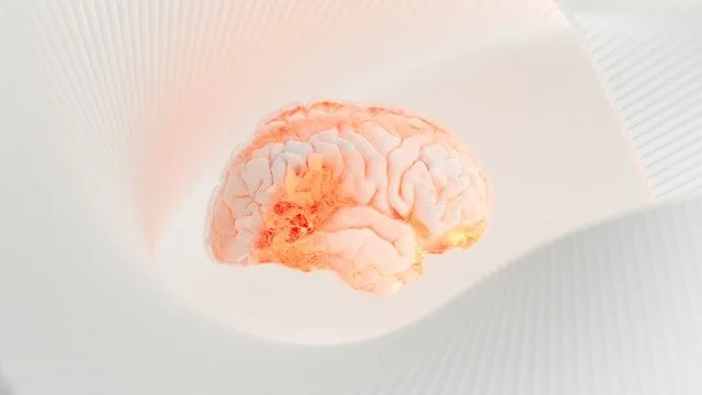 The B.R.A.I.N. Technique