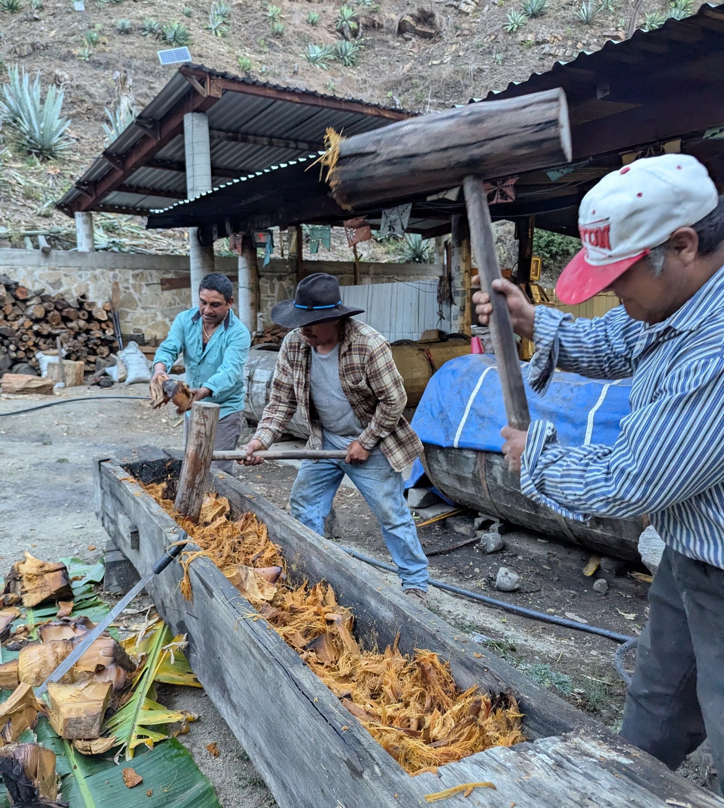 Tepanal, mezcal artesanal de Santa María Sola de Vega, Oaxaca. Tradición familiar, procesos ancestrales y respeto por la tierra en cada expresión.