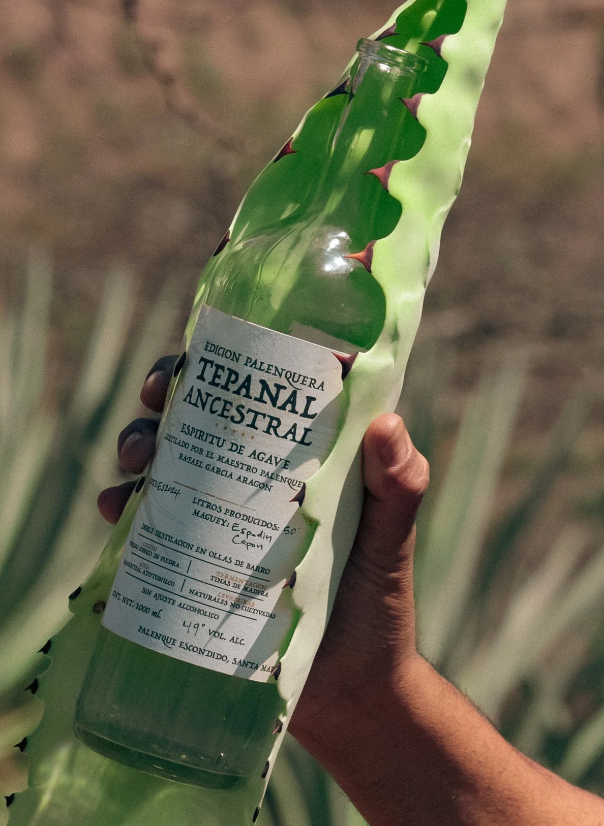Somos Tepanal, un proyecto familiar que entiende y respeta profundamente la elaboración del mezcal. Esta tradición nos ha sido enseñada y transmitida a través de generaciones.