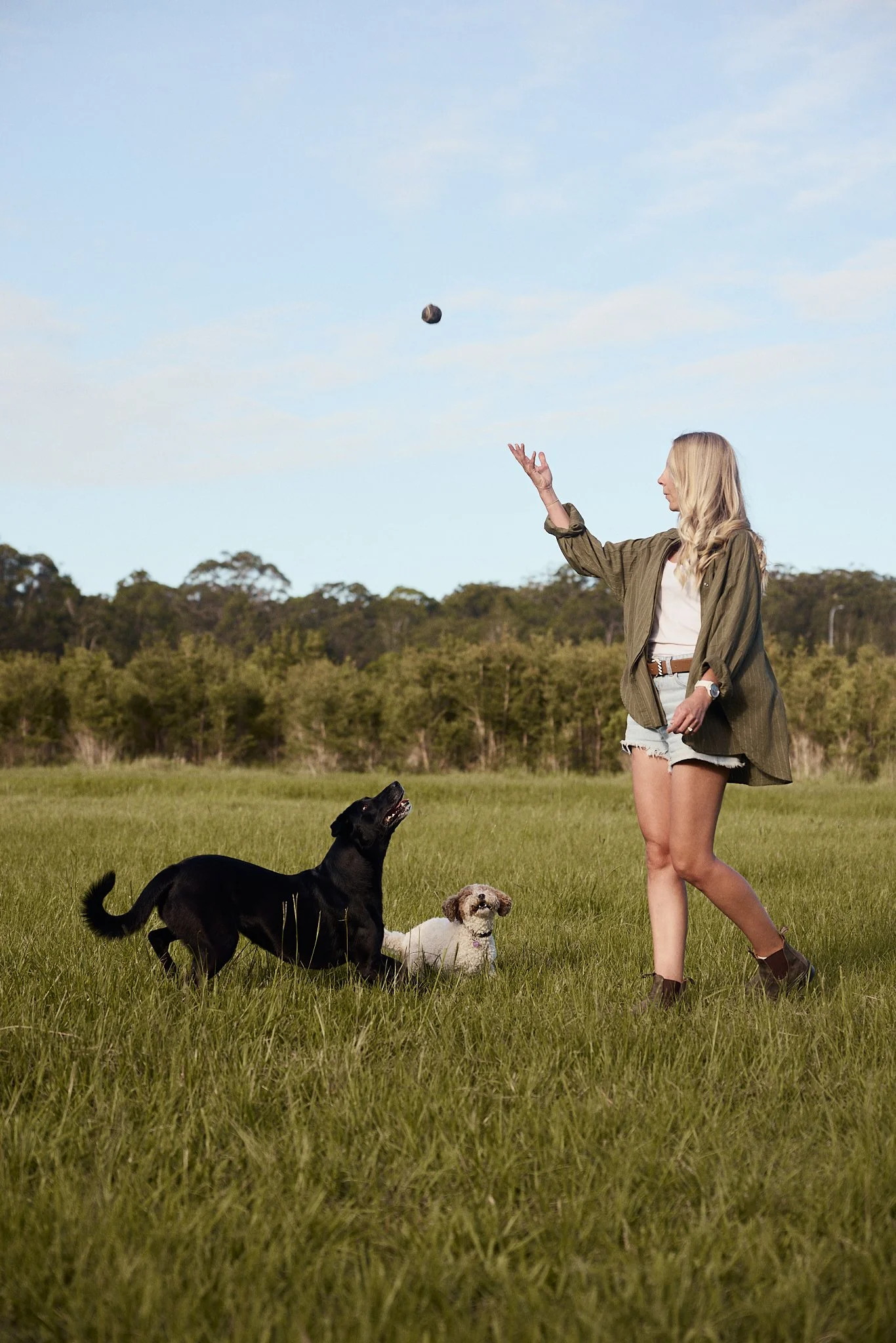Dog daycare and enrichment at Paddock & Paw in Byron Bay.