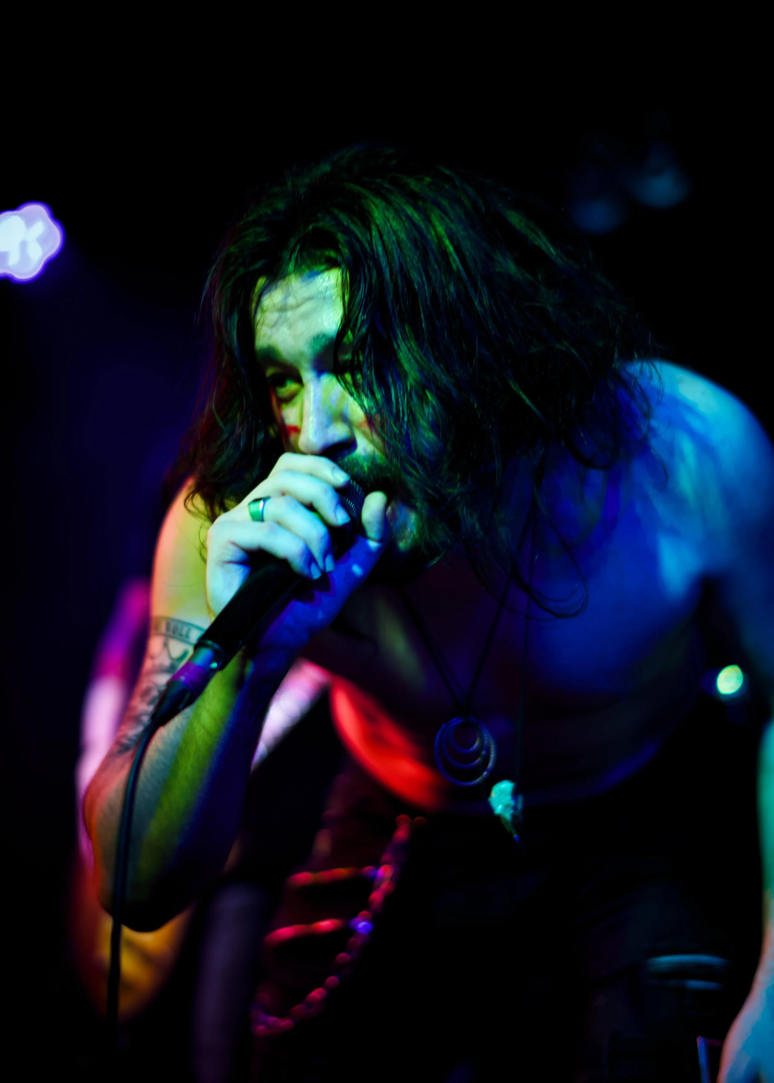 2026-01-31_NIKON Z 8_DSC_1431.jpg