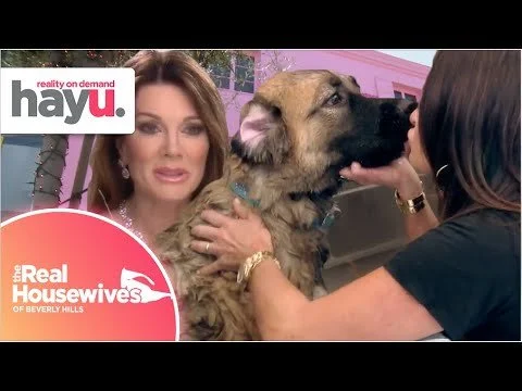 Kyle and Lisa Have a Hand a Dog Grooming | Season 8 | Real Housewives of Beverly Hills