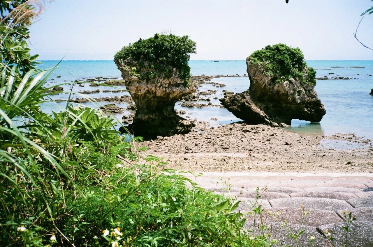 Sea stacks with green shrubbery on top near a beach with rocks and a distant horizon.