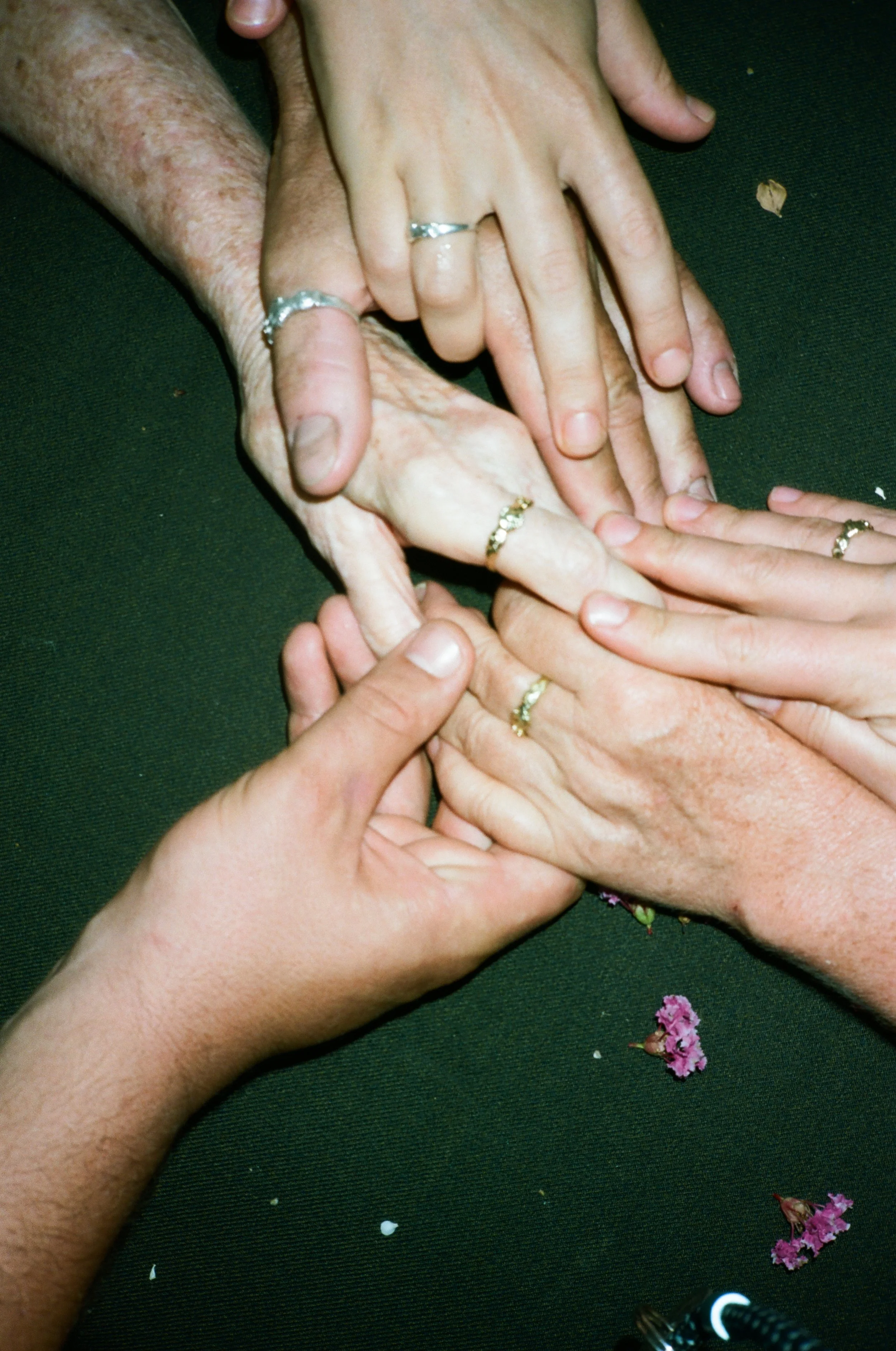 Ditto Design Project