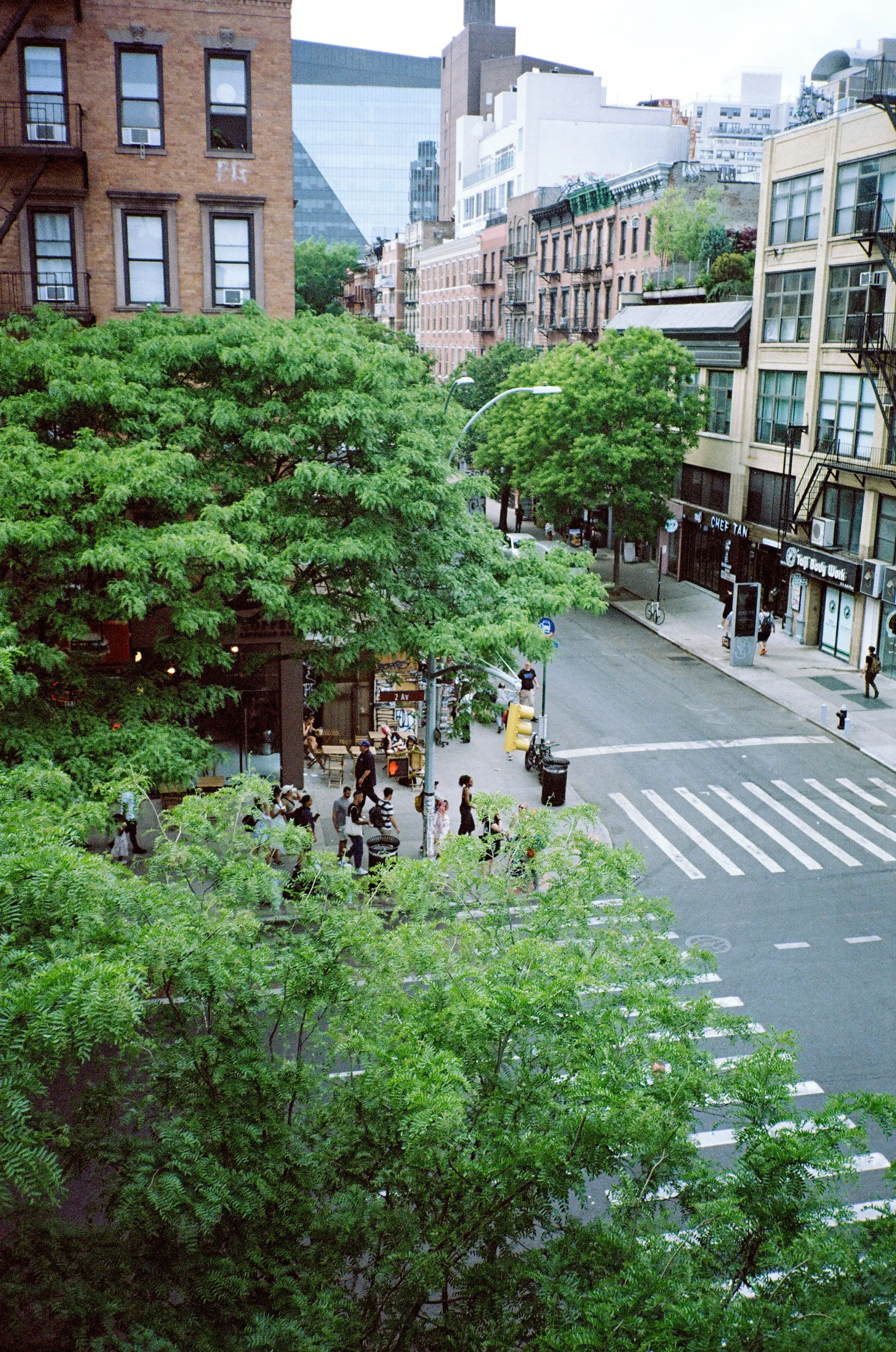 City street scene with trees, pedestrians crossing the crosswalk, and buildings lining the street.