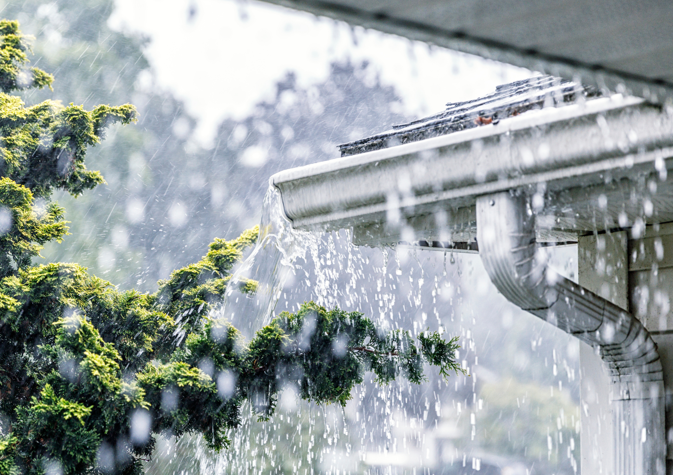 Blocked Drains After Heavy Rain in Derby What It Really Means