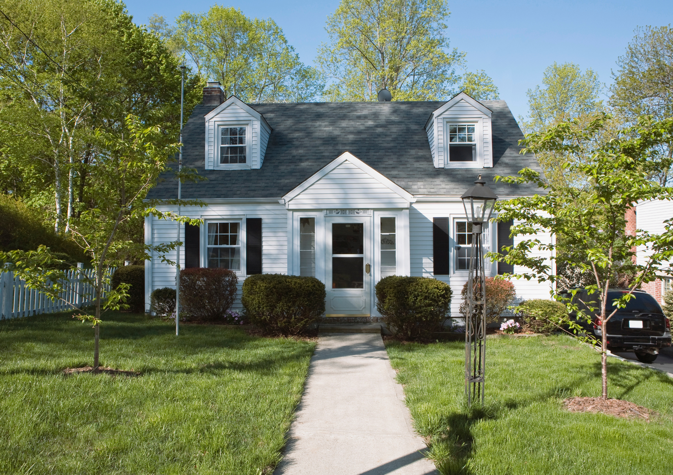 Why Root Intrusion Is a Common Drainage Problem in Derby