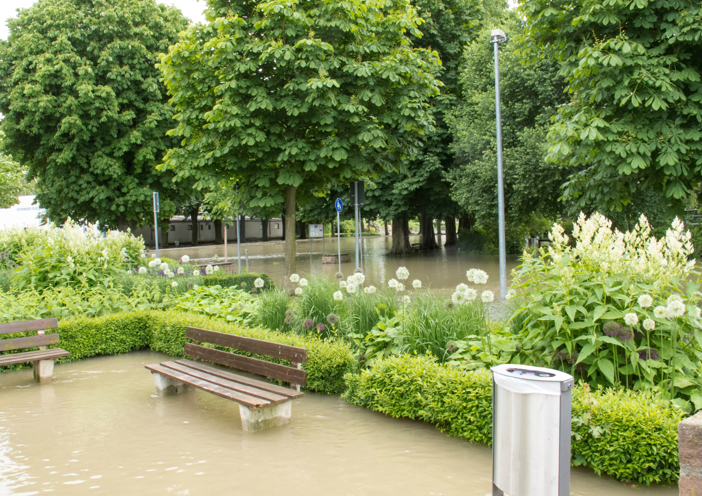 Summer Garden Flooding Could Be a Sign of a Blocked Surface Water Drain in Derby