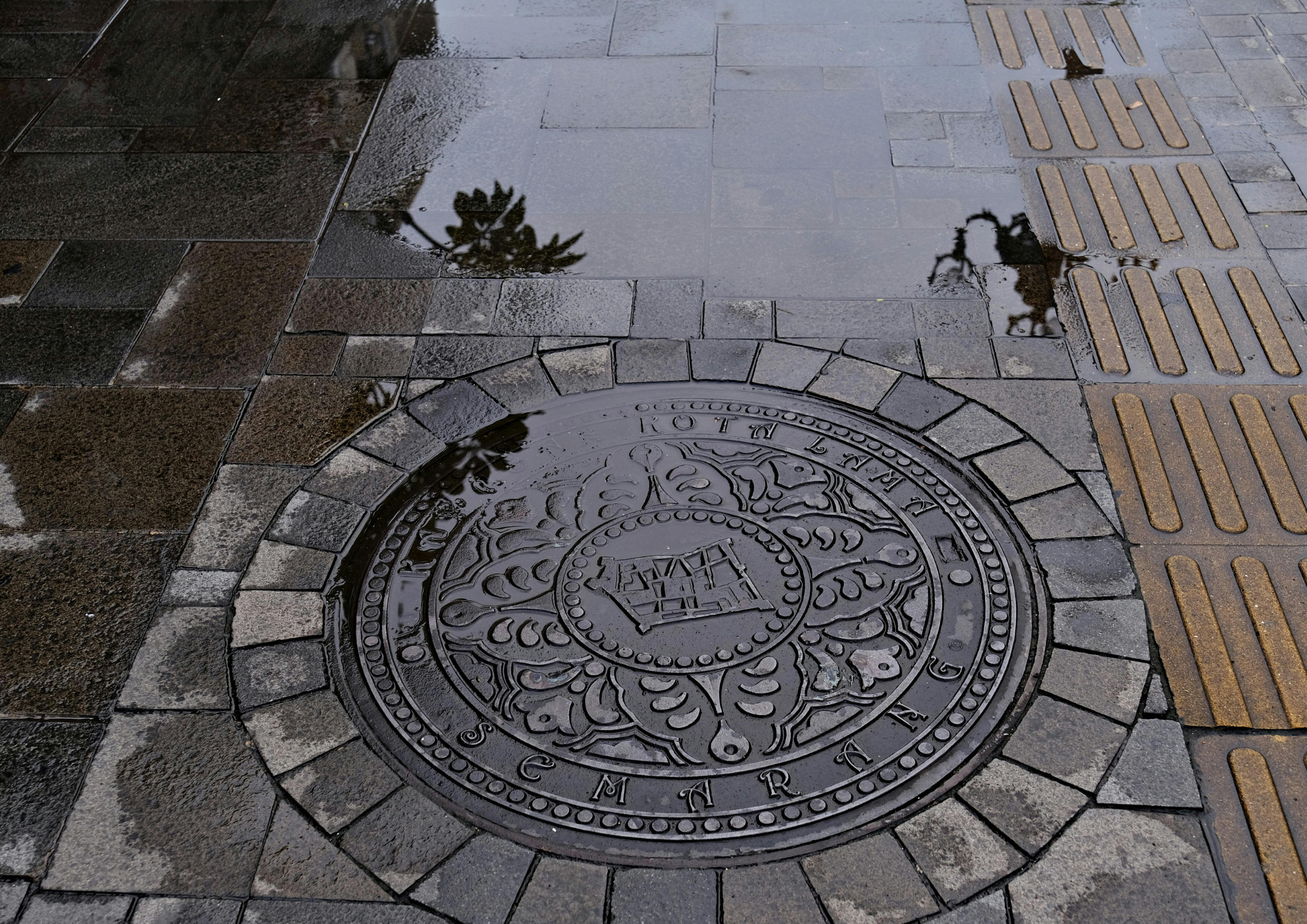 Standing Water Around Manholes Is Often an Early Warning Sign