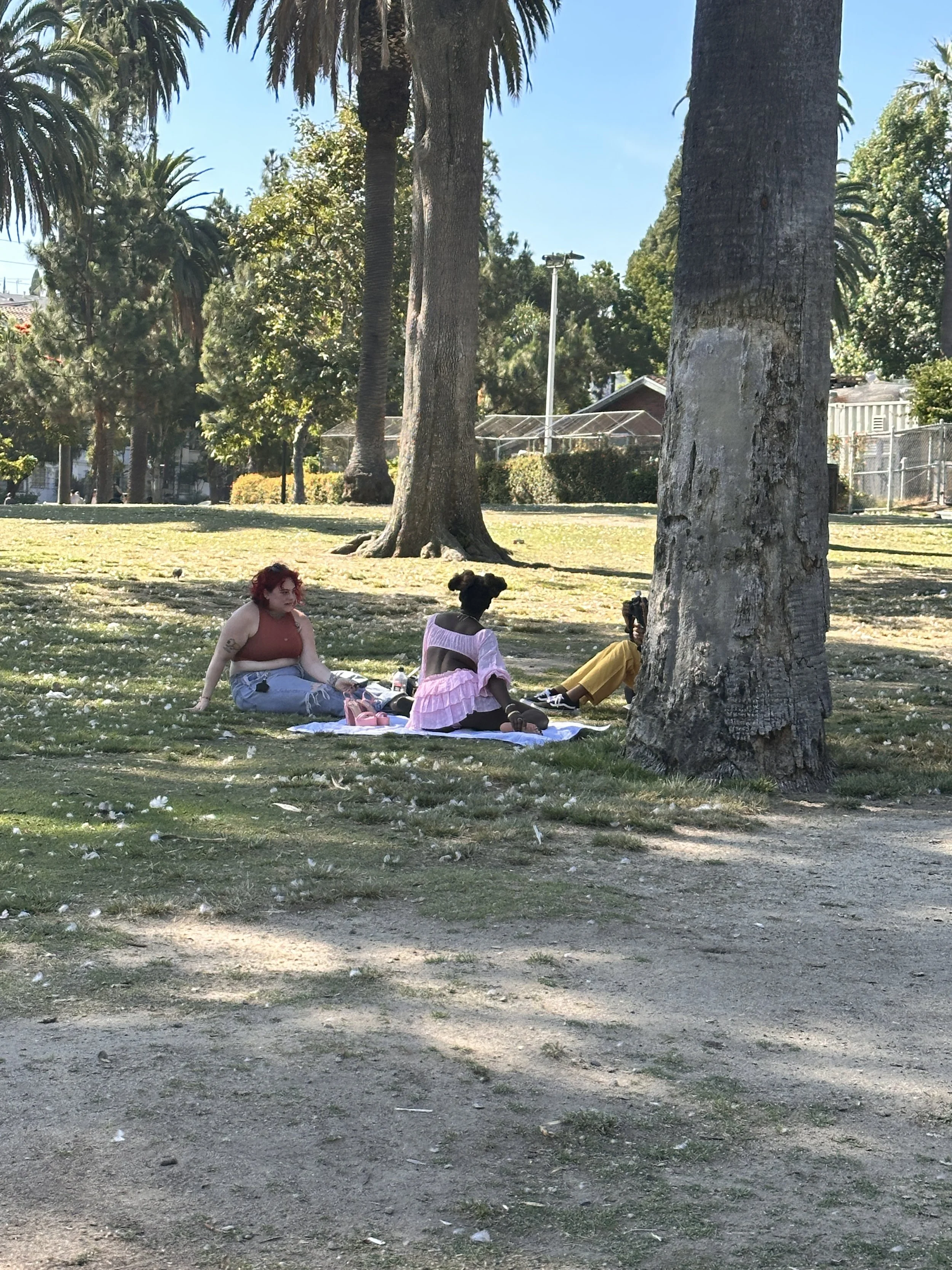 IMG_6065.JPG