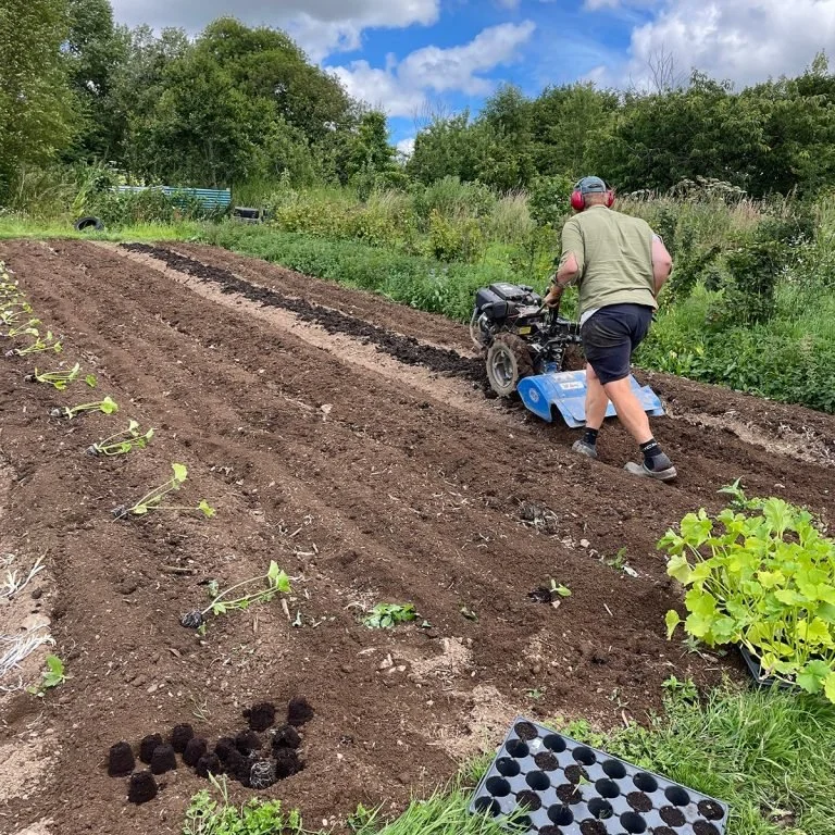 Man operating a rototiller in a vegetable garden with rows of young plants, surrounded by trees and bushes under a partly cloudy sky.