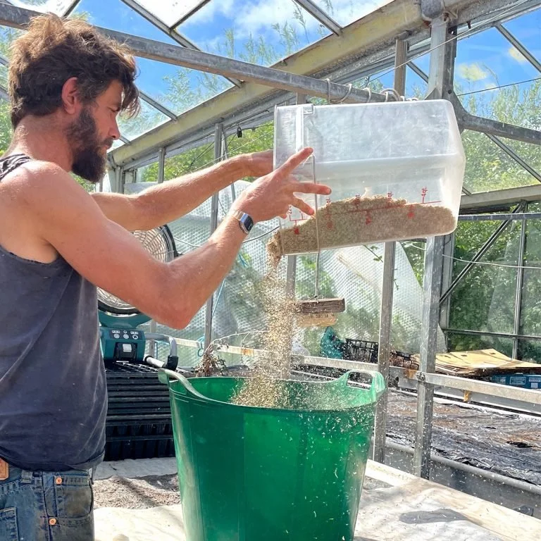 A man with a beard and sleeveless shirt is pouring a clear container of soil or compost into a green compost bin inside a greenhouse.