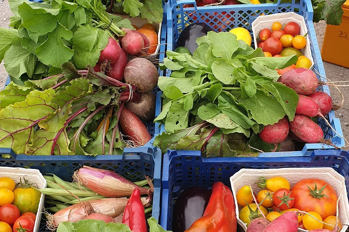 Fresh vegetables displayed in blue crates and white baskets, including tomatoes, radishes, eggplants, peppers, and corn.