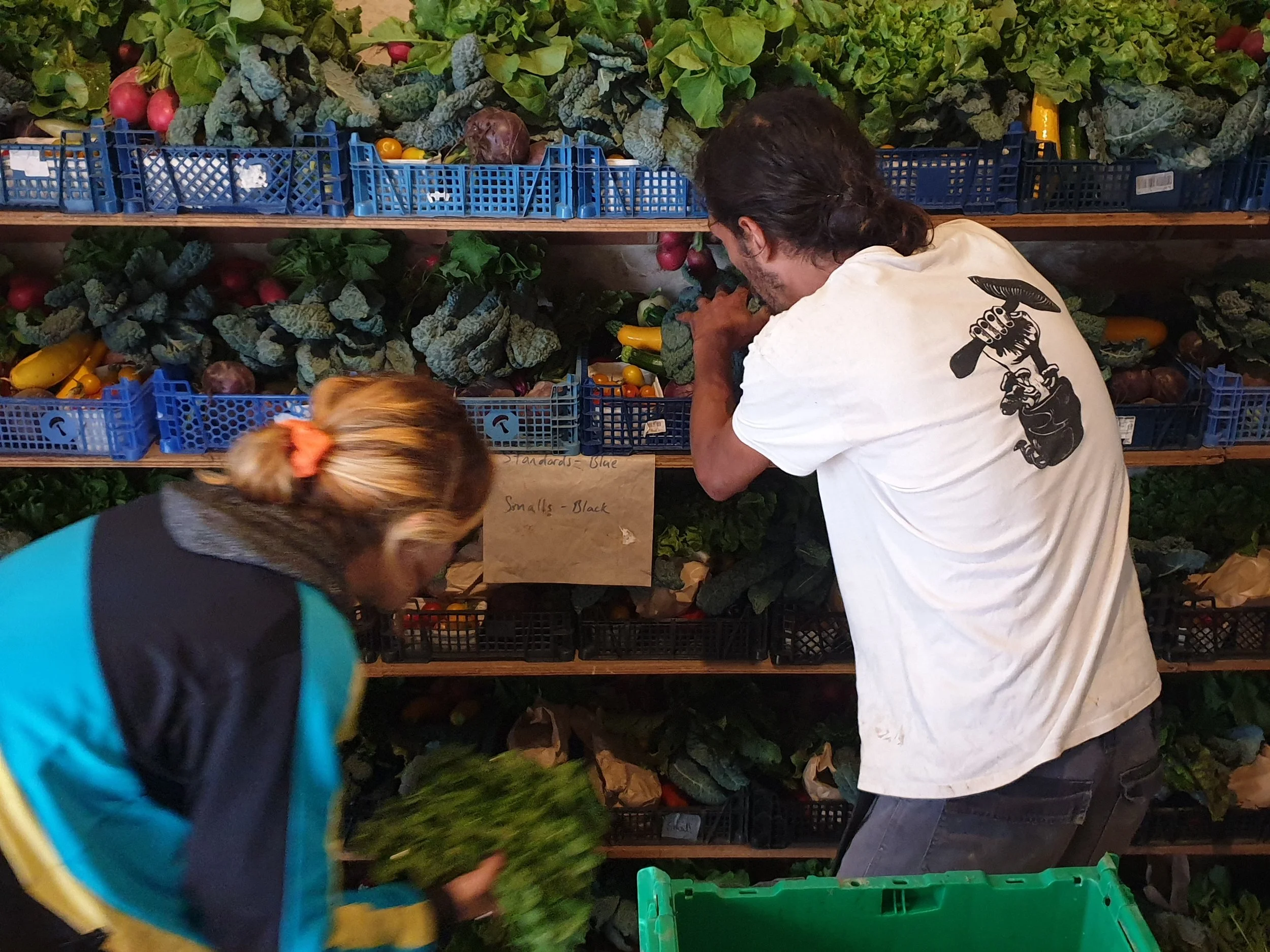 Two people shopping for vegetables at a market stall filled with kale, broccoli, radishes, and squash in blue baskets.