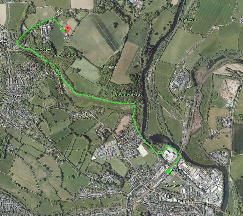 Map showing a walking route in Totnes, England, starting at Mill Leat and ending at a location near Foxhole Copse, passing through Buckham Park Copse and Symon's Tree Wood.