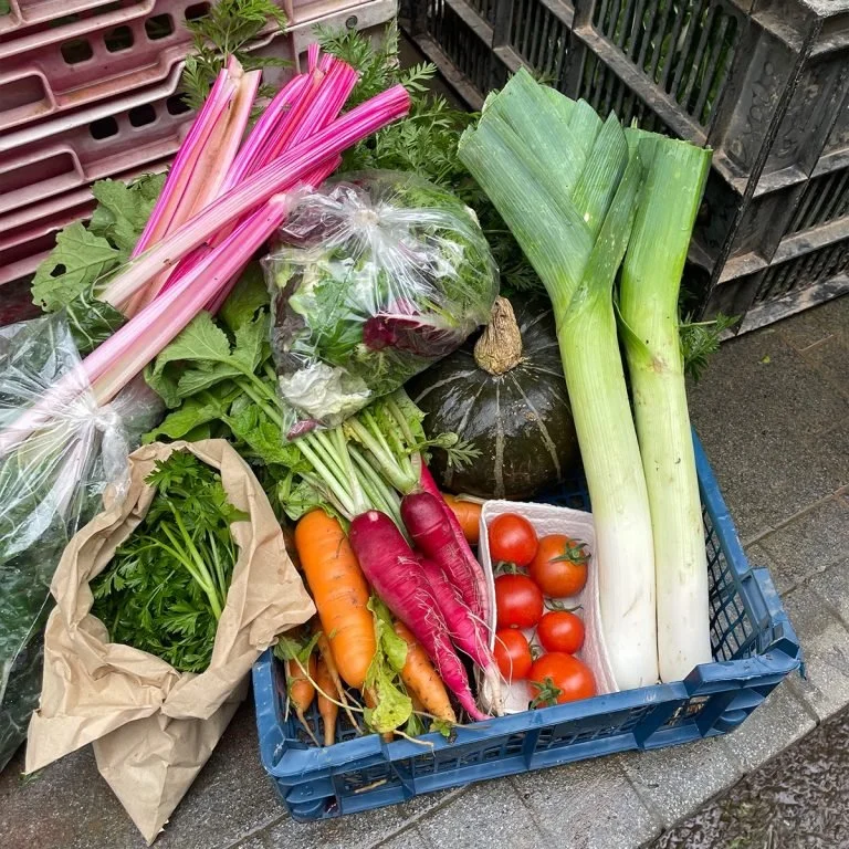 Fresh organic vegetables including rhubarb, leeks, tomatoes, carrots, radishes, and leafy greens in a blue crate and plastic bags on a sidewalk.