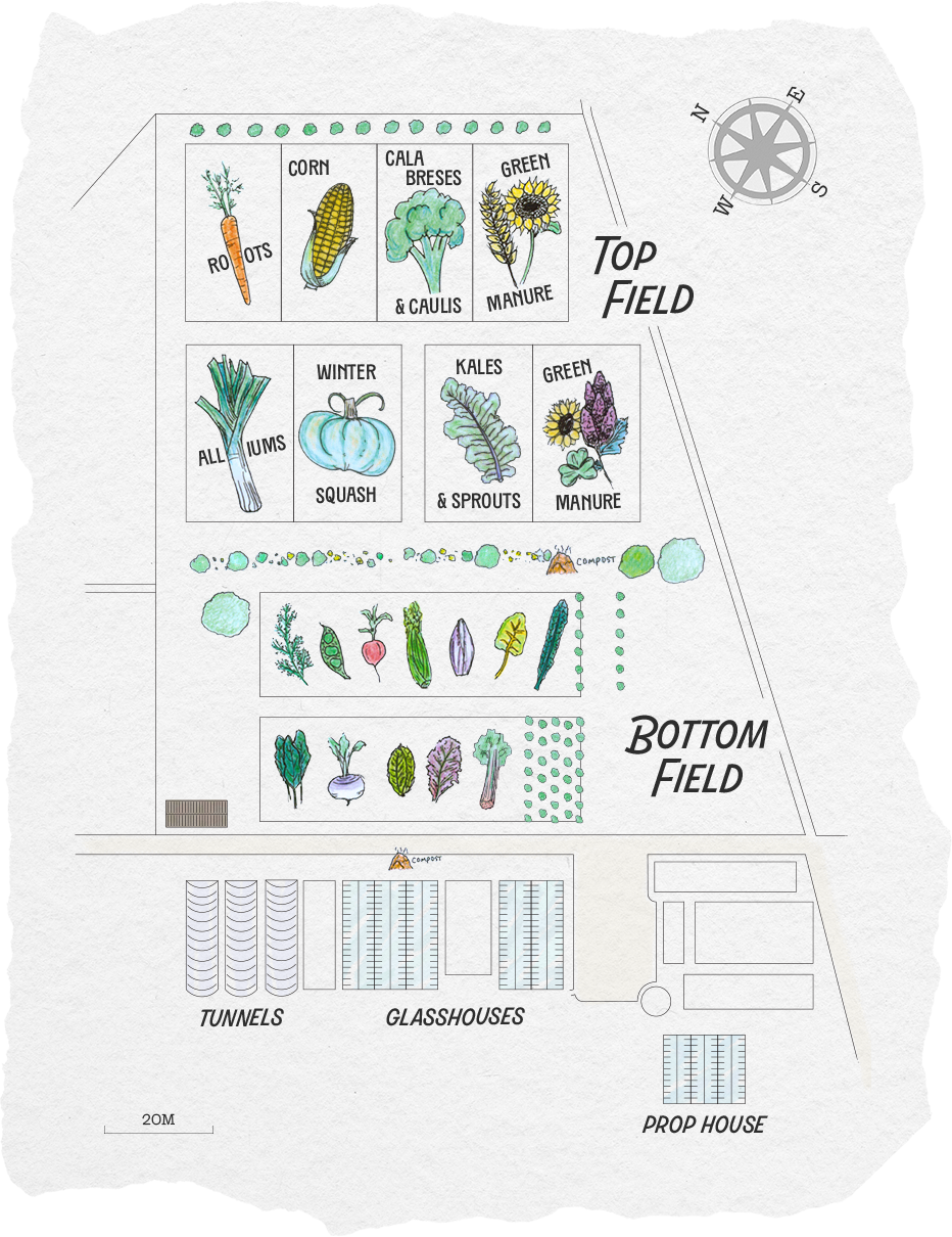 A garden layout map showing top and bottom fields, tunnels, greenhouses, and a prop house with various vegetables, crops, and plants depicted.