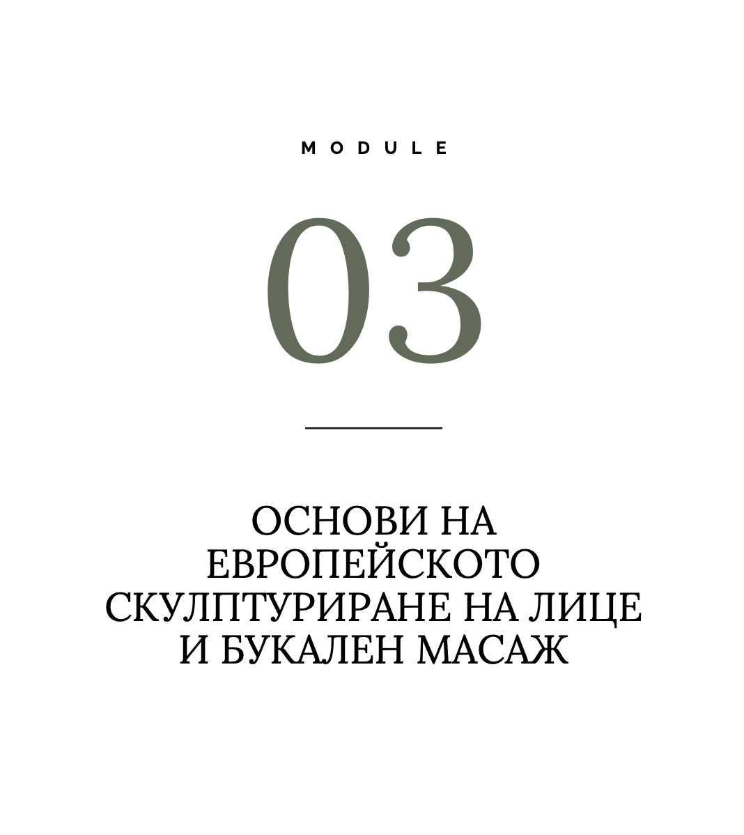 module 3 bulgarian.png