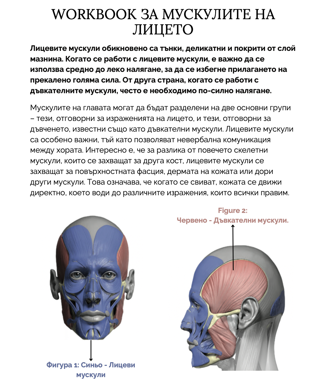 workbook cover bulgarian.png