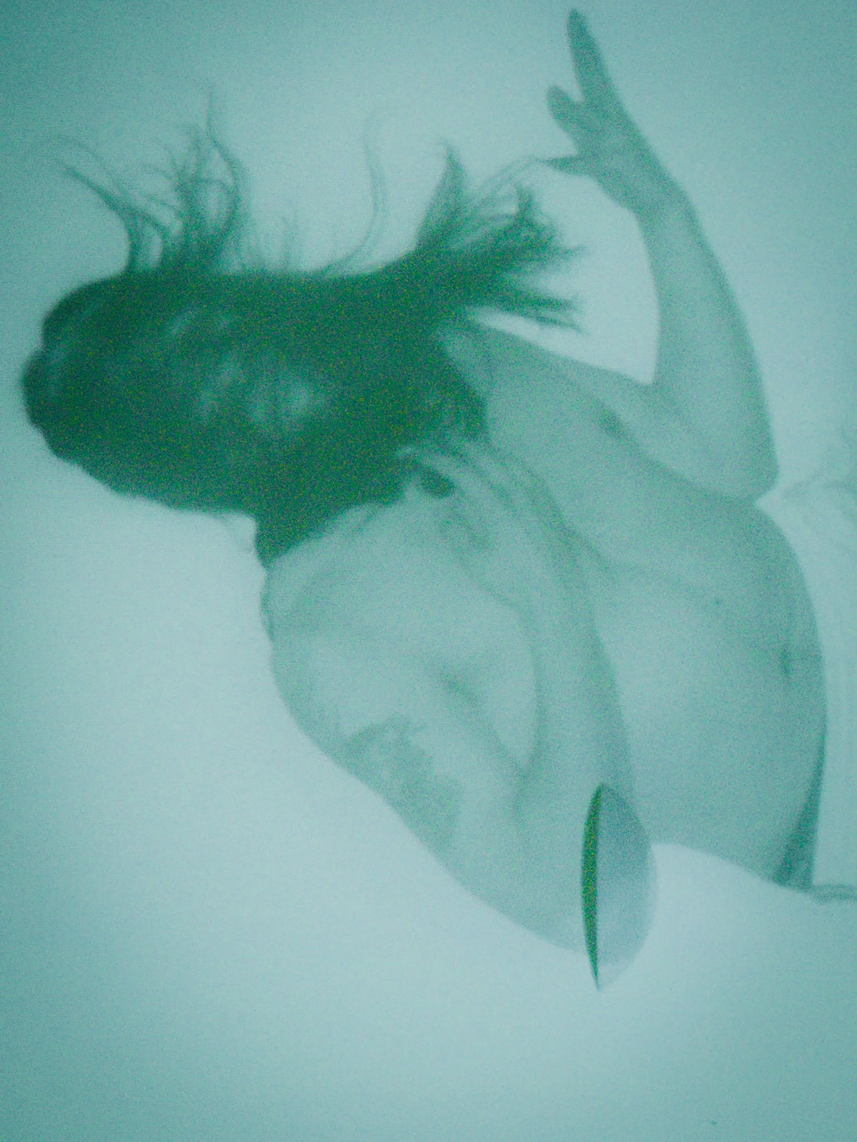 K1 Probenhaus Performance (c) Paola Lesslhumer 08.jpg