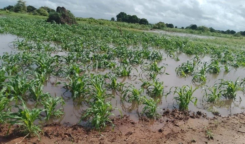"A dimensão desta emergência ultrapassa os recursos de que dispomos", Secretário-geral da Caritas Moçambicana