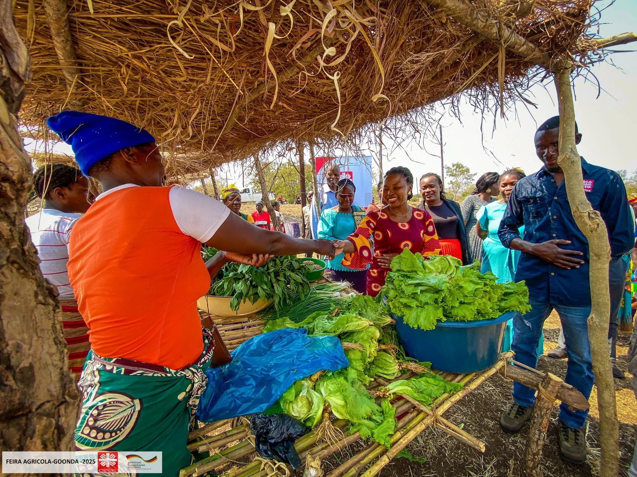 Woman in an orange shirt and blue hat selling fresh vegetables at an outdoor market stall, with people smiling and shaking hands in the background.
