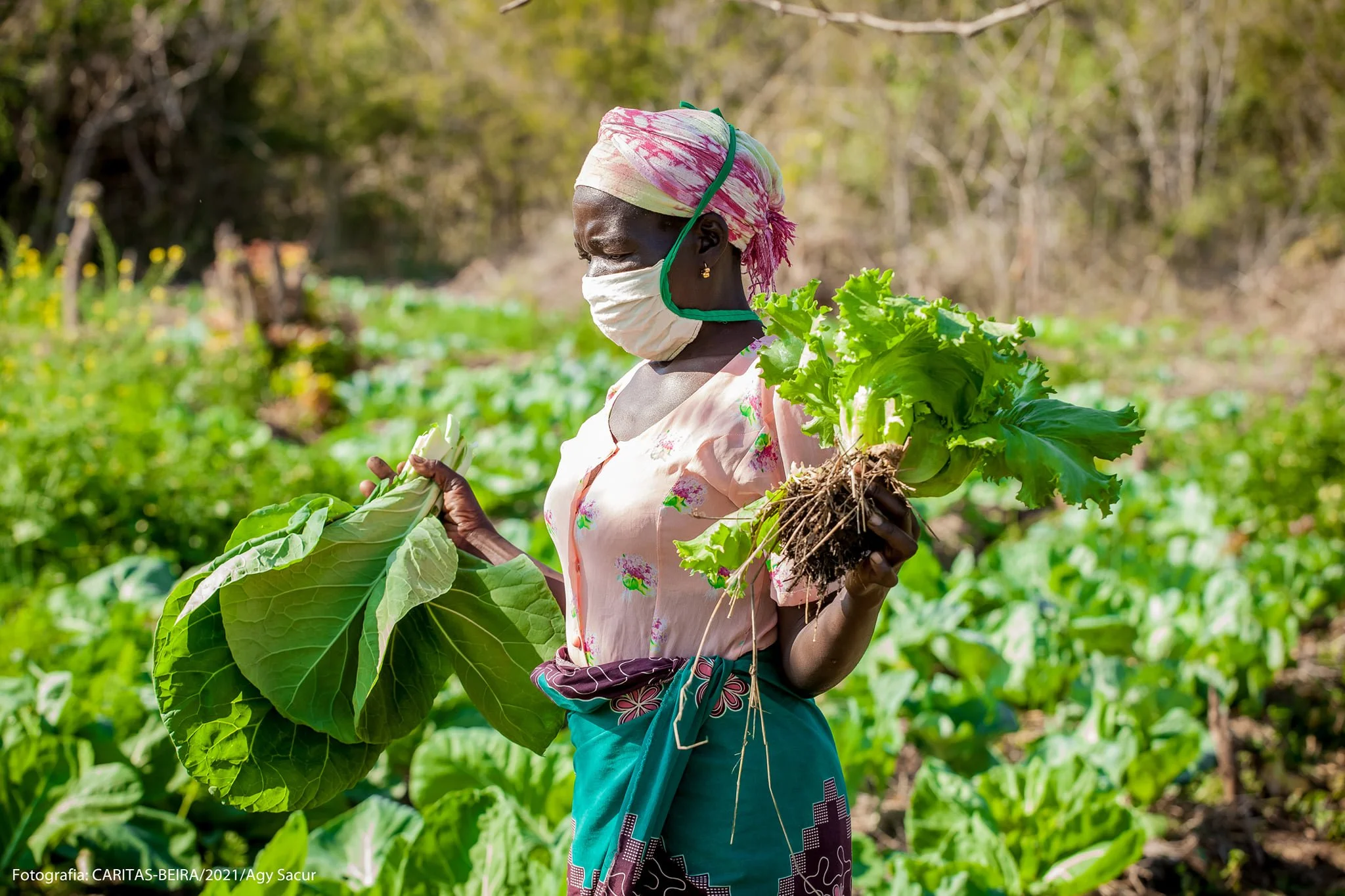 A woman wearing a face mask and colorful headscarf is holding fresh lettuce and a bundle of greens in a lush garden or farm with dense greenery and trees in the background.