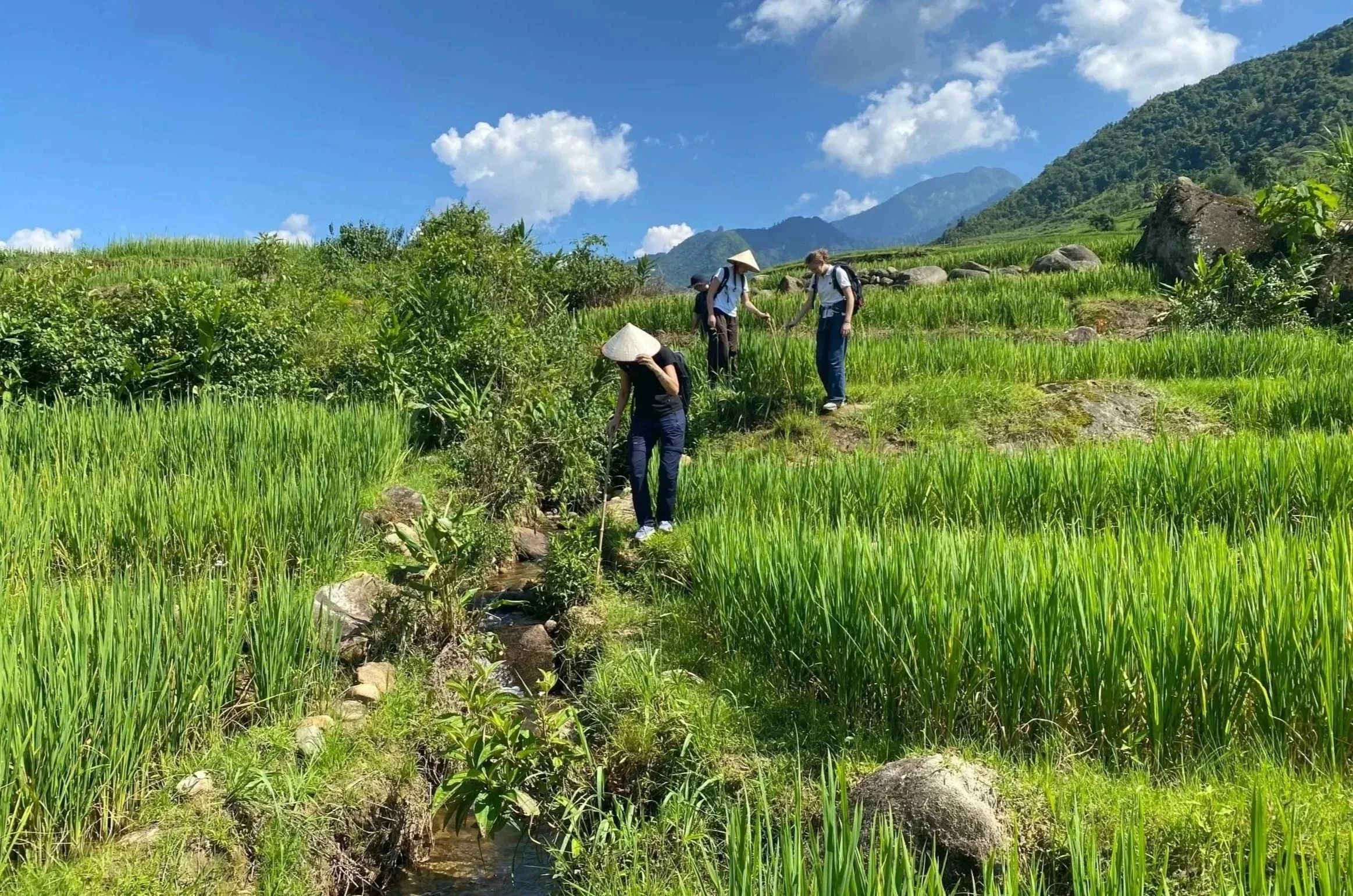 Travelers trekking in rainy weather with local ethnic guides in the mountains of Sapa.