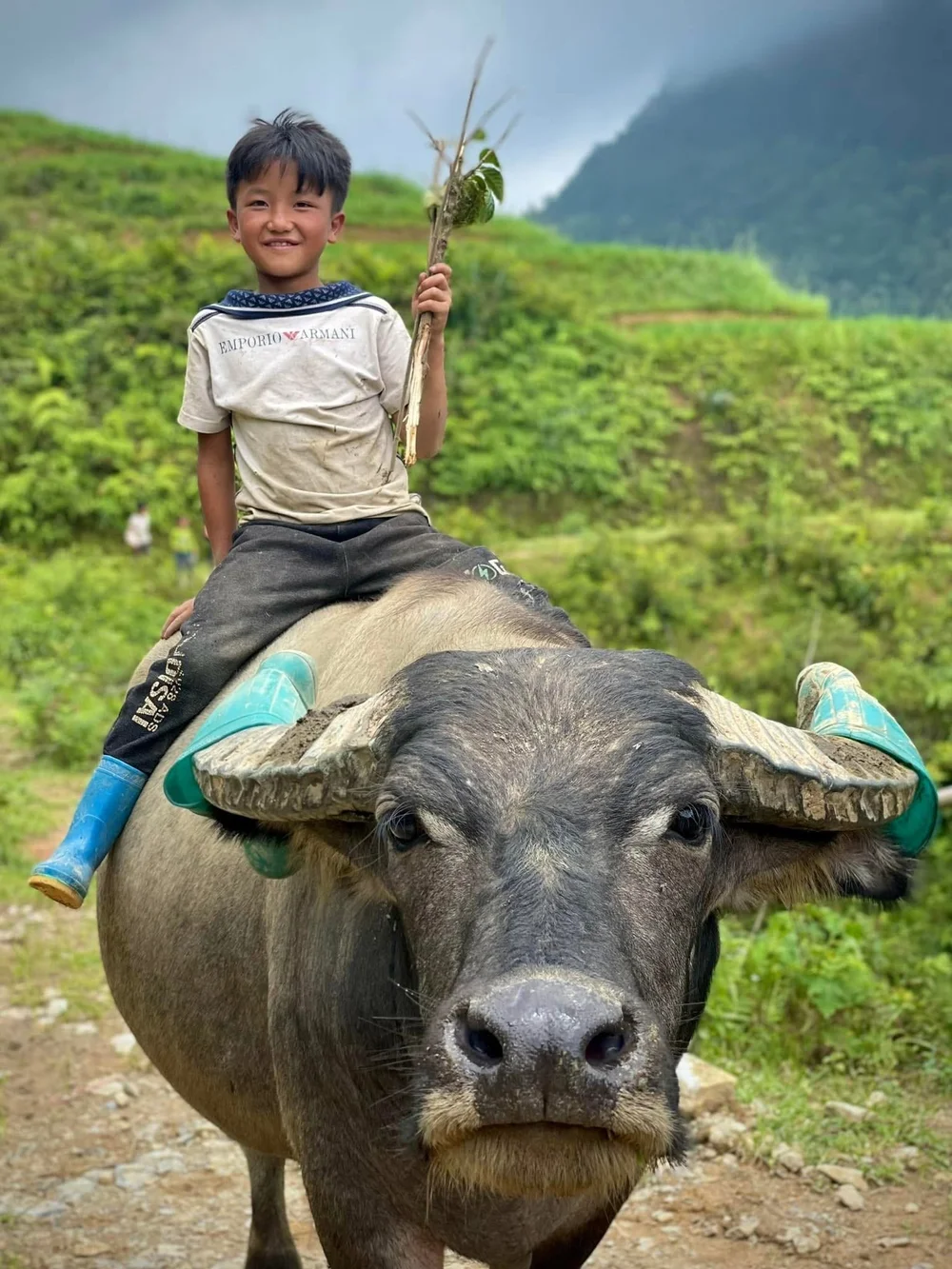 Boy Riding a Water Buffalo in the Highlands
