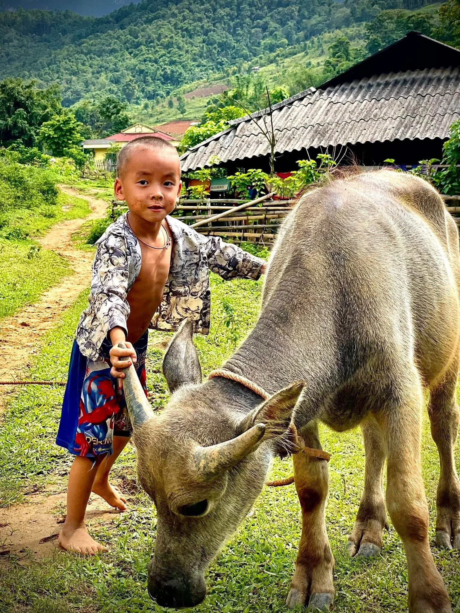 Child Caring for a Water Buffalo