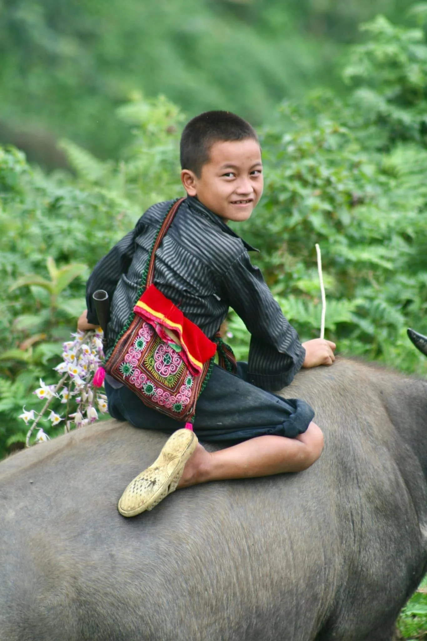 Smiling Boy Riding on a Buffalo