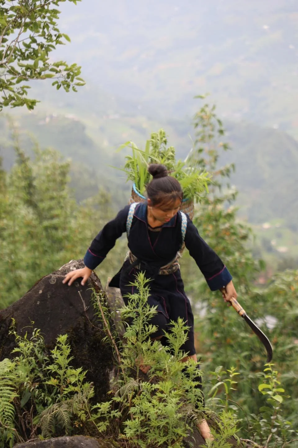 Climbing the Highland Trails