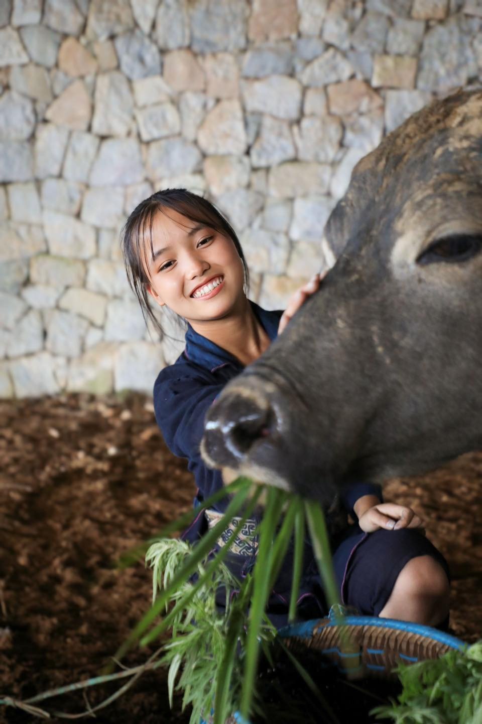 Young Woman and Her Water Buffalo