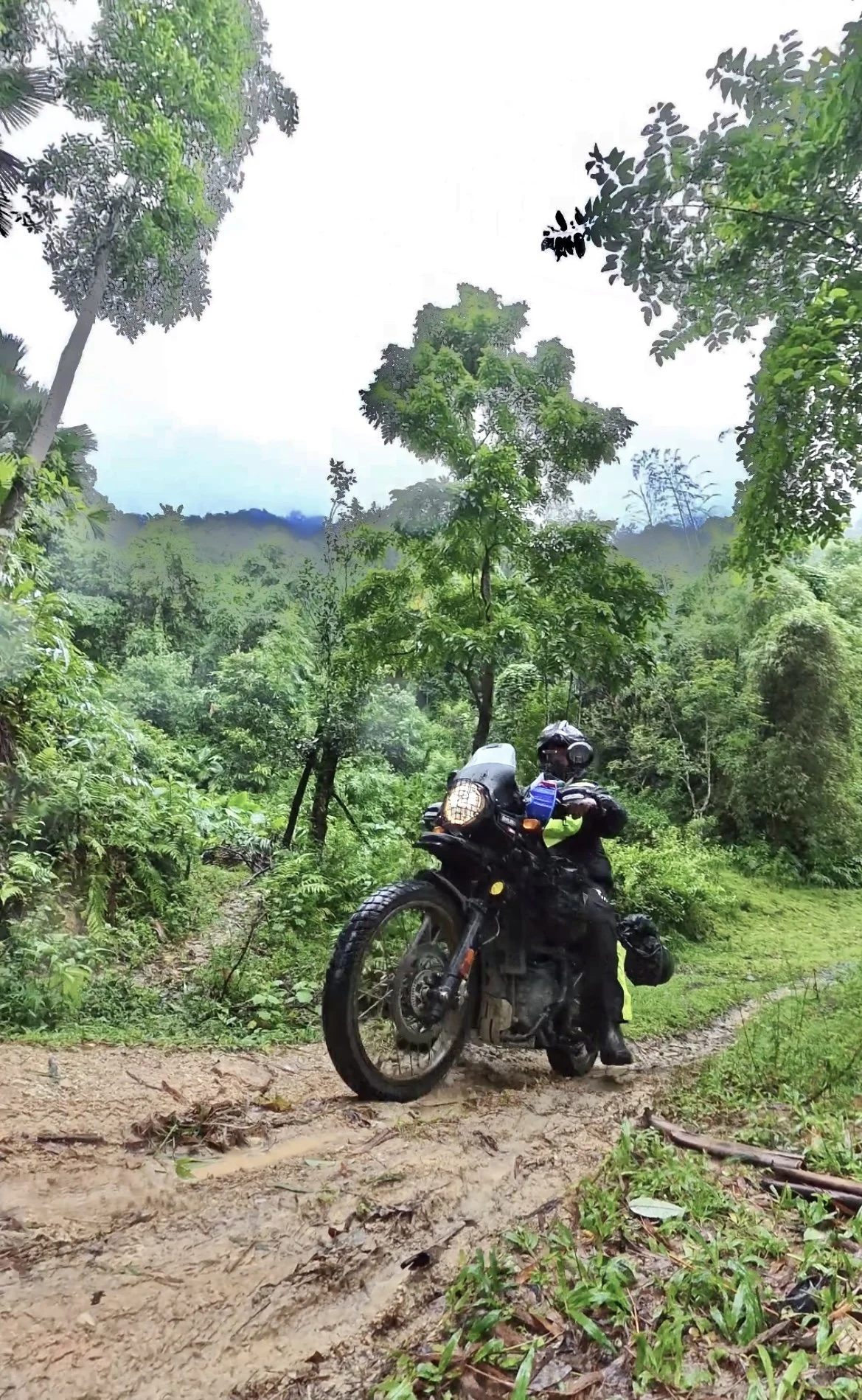 Resting on a Forest Road