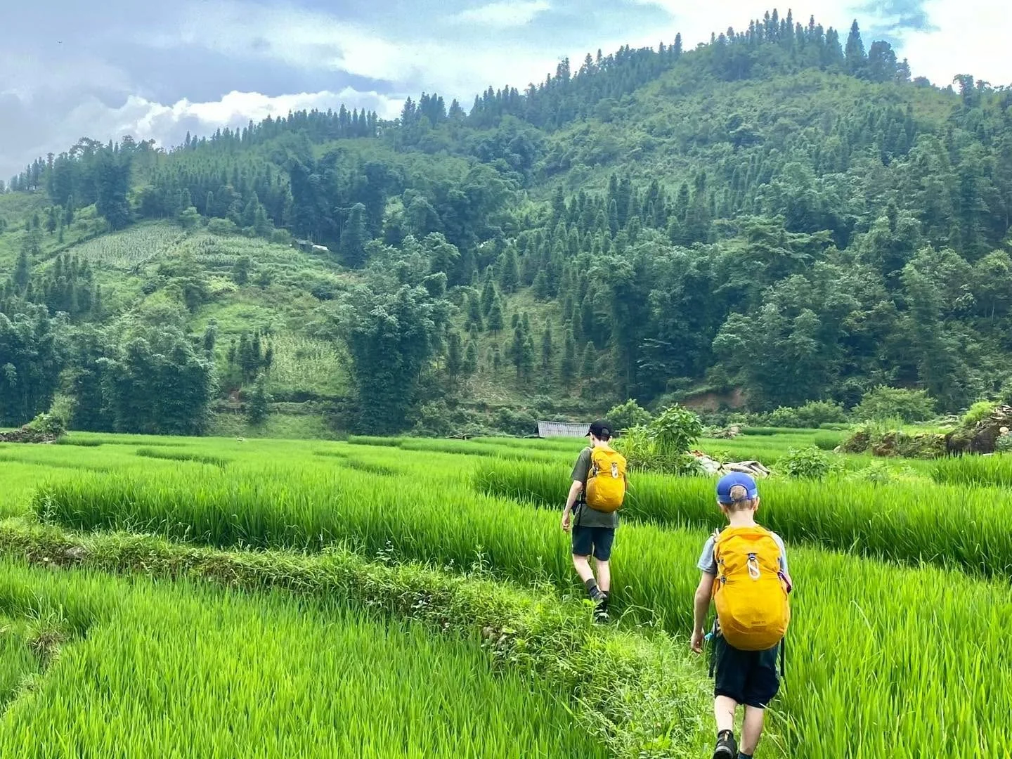 Terrace Walk, Valley Floor