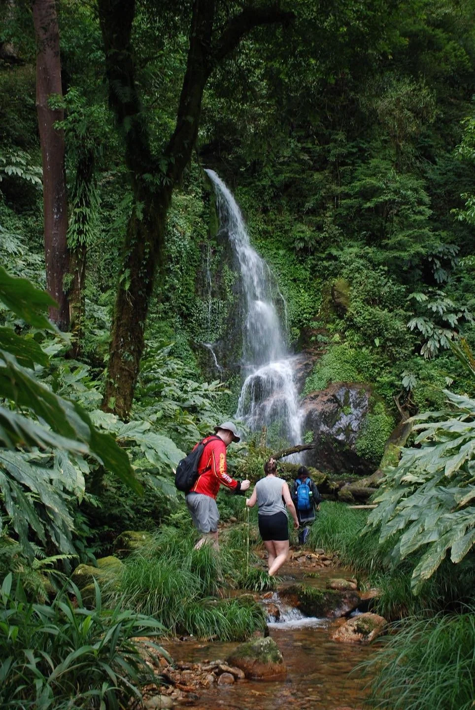  Jungle Waterfall Stop