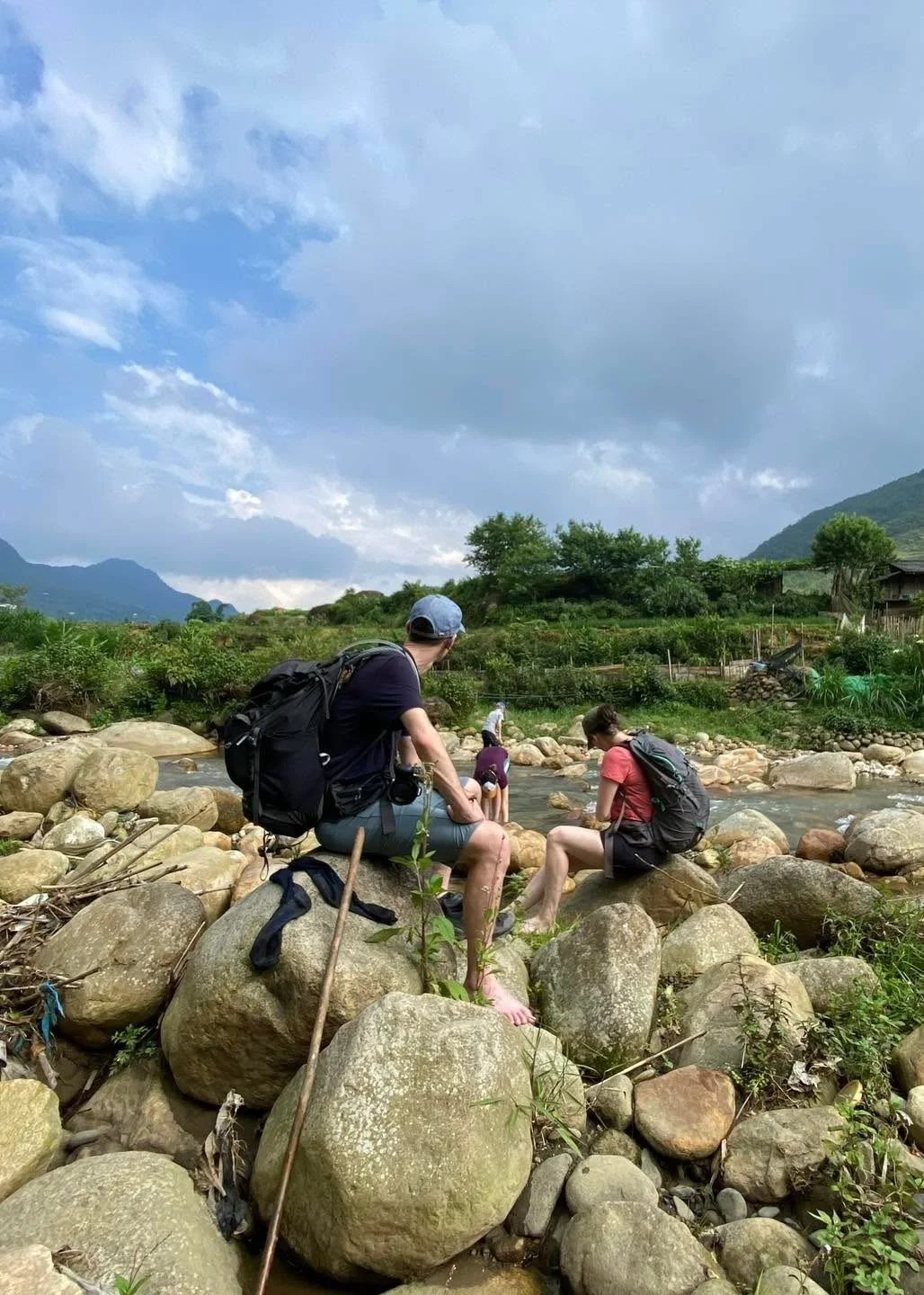 Terrace Lines, Mountain Backdrop